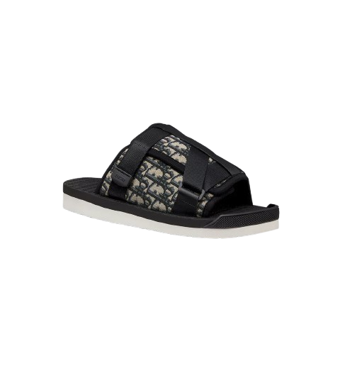 Dior slides