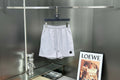 Moncler Swimming Shorts