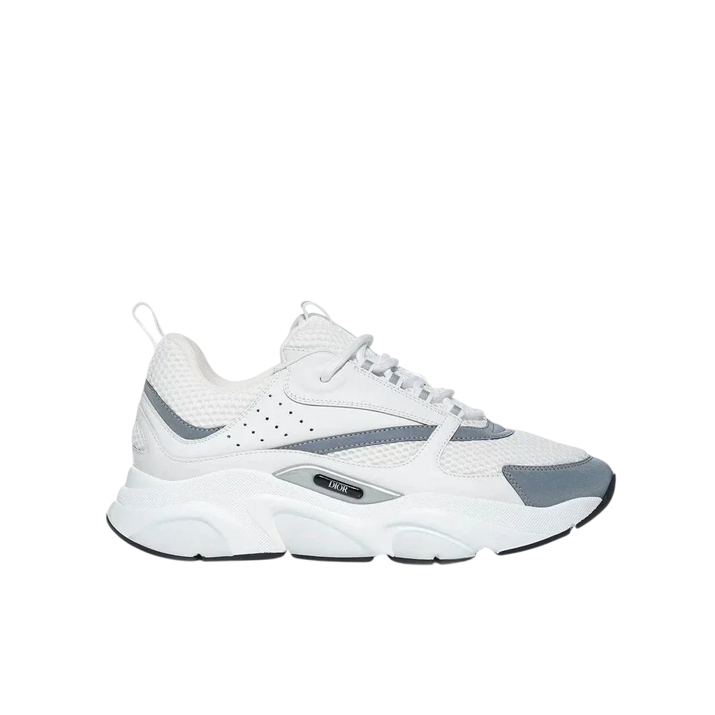 Dior B22 'White Grey'