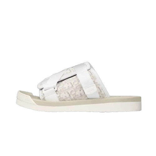 Dior slides